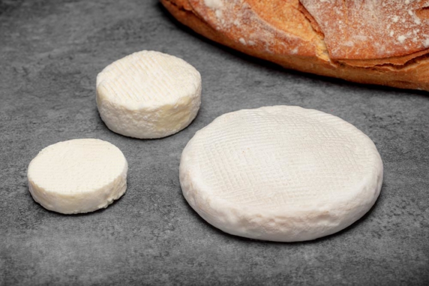 Sélection du goût Plateau de fromages de vache crémeux Achat en ligne — free download